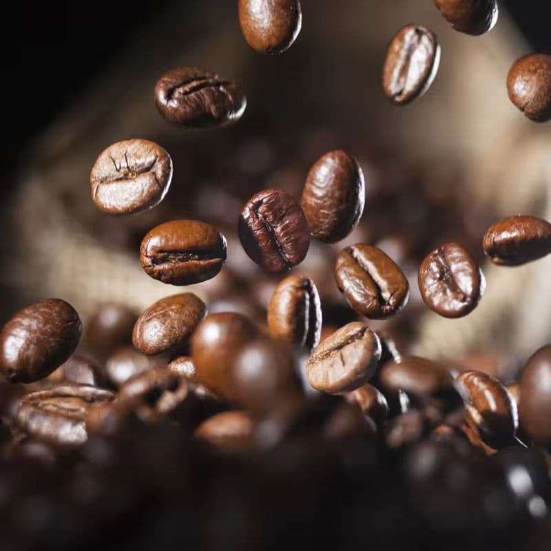 WhatsApp Image 2025 10 04 at 23.53.06 864e97cd bnkcr0