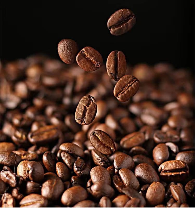 WhatsApp Image 2025 10 04 at 23.53.07 1964347d agbapc